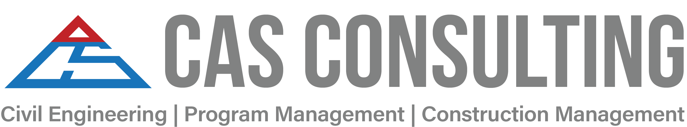 CAS Consulting & Services, Inc.